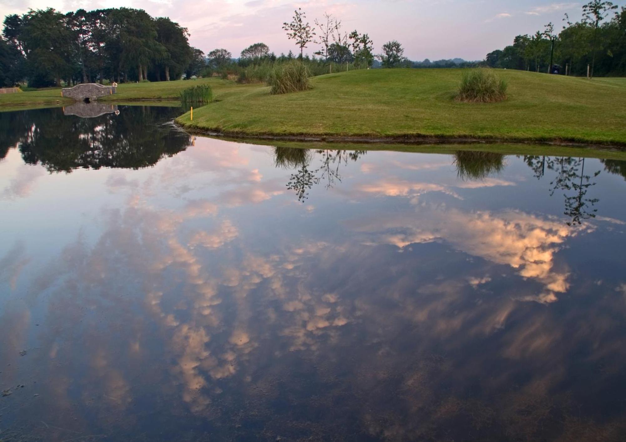 Roganstown Hotel & Country Club Swords Dış mekan fotoğraf