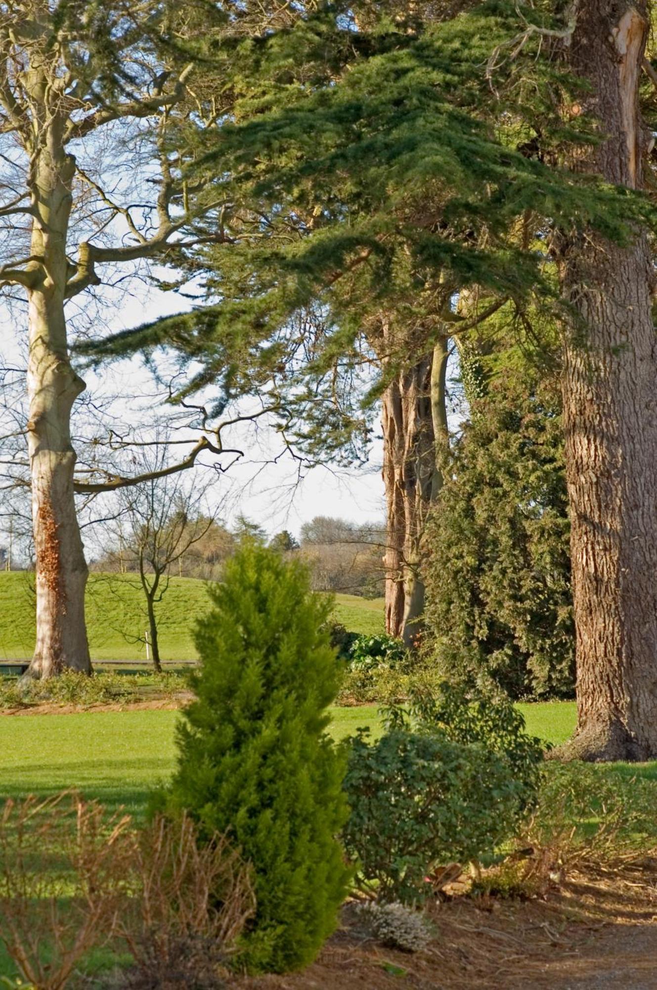 Roganstown Hotel & Country Club Swords Dış mekan fotoğraf