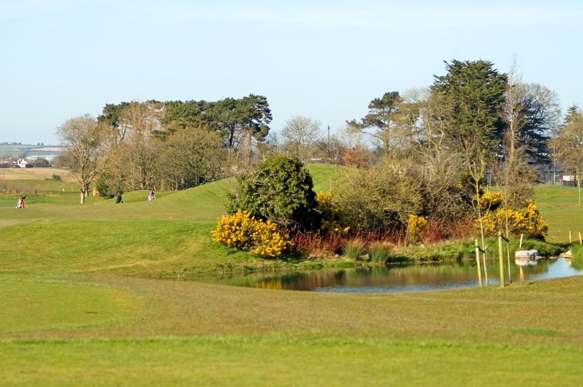 Roganstown Hotel & Country Club Swords Dış mekan fotoğraf