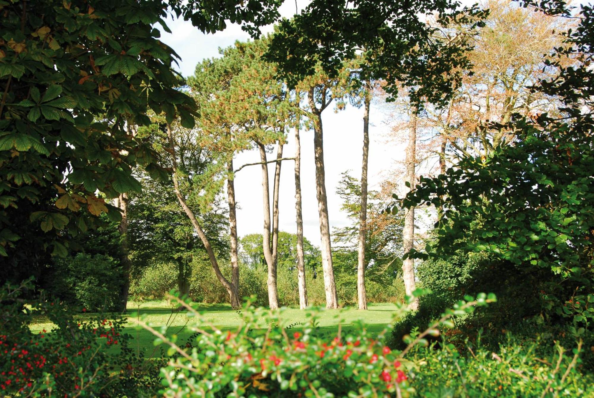 Roganstown Hotel & Country Club Swords Dış mekan fotoğraf